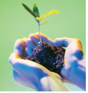 ecologia-quantitativa-ou-bioestatistica-1