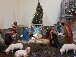 WhatsApp Image 2017-12-24 at 19.03.07