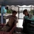 20170613_090158.jpg