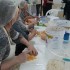 IMG-20170613-WA0035.jpg