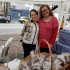 IMG-20170613-WA0061.jpg