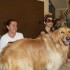 09.jpg