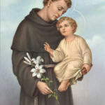 Papa Emérito Bento XVI sobre Santo Antônio