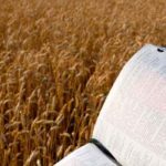 O adubo que fez crescer a semente da Bíblia