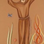 Padroeiro da ecologia