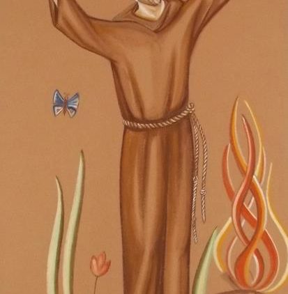 Padroeiro da ecologia