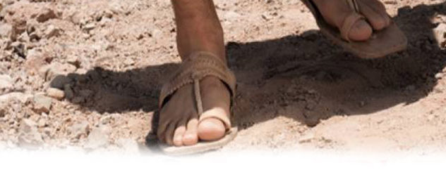 Mensagem do Papa Francisco para o Dia Mundial das Missões 2014