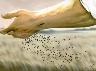 Semear com esperança e fé