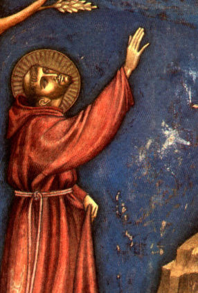 Encíclica: mudança de hábitos na casa comum