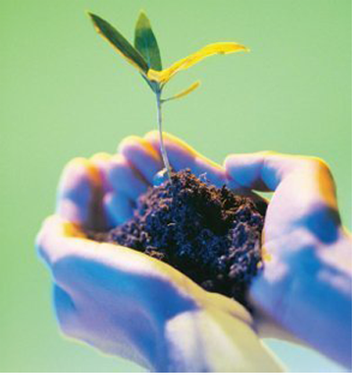 Cuidado da natureza e ecologia humana