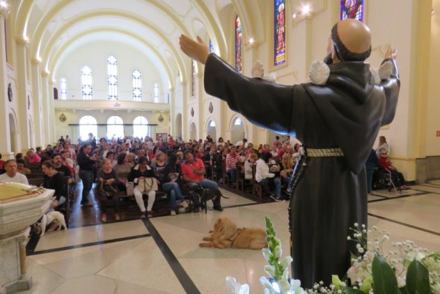 Celebramos São Francisco!