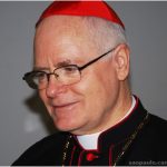 A guerra vista por um enfermo