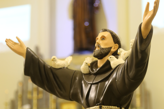 Festividades de São Francisco de Assis 2025